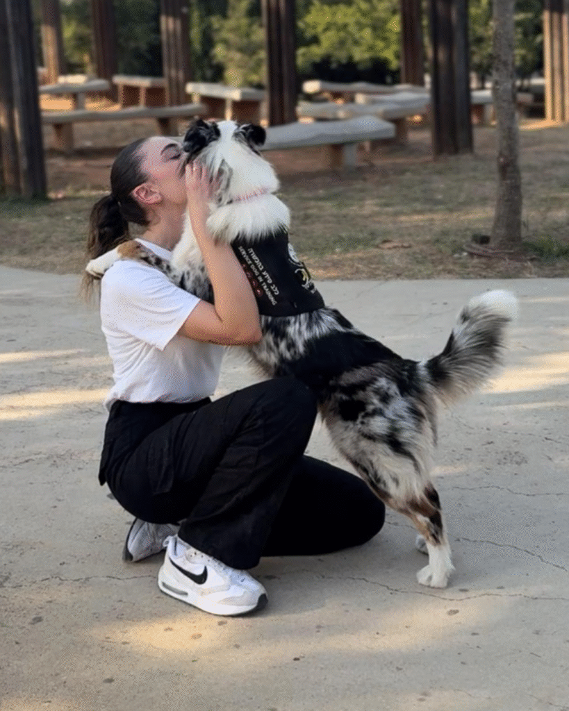 עיצוב ללא שם (3)